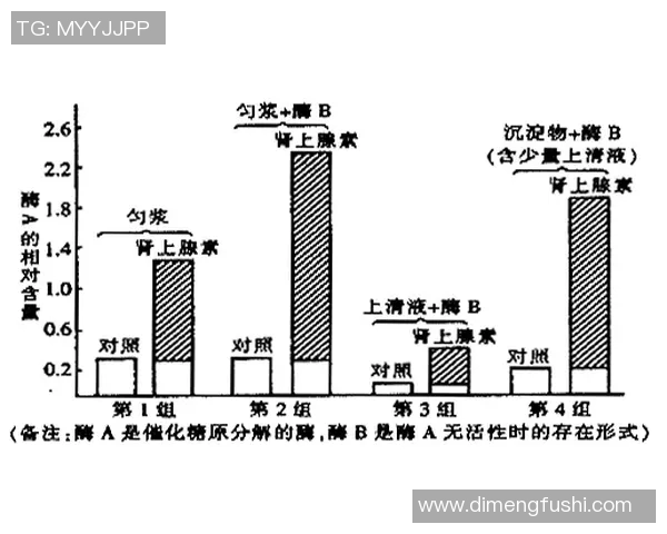 水中运动对人体健康的益处与科学原理探索
