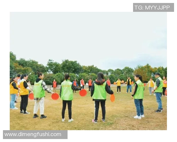 飞盘竞技的魅力与智慧:深入解析西安飞盘队的战术布局与团队协作